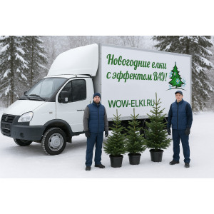 Демонтаж елок