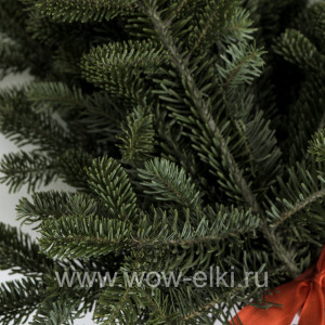 Лапник (букет из веток) Пихты Нордманна Лапник (букет из веток) Пихты Нордманна