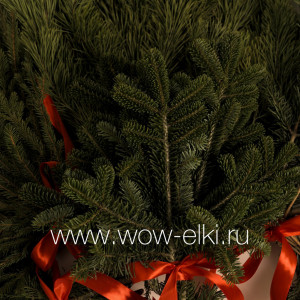 Лапник Пихты Сибирской Лапник Пихты Сибирской