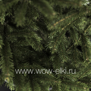 Русская ель срезанная  10,00 м – 11,00 м