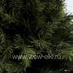 Мини-ёлка из живой алтайской пихты