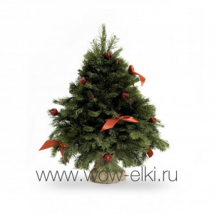 Мини-ёлка с декором из живой алтайской пихты