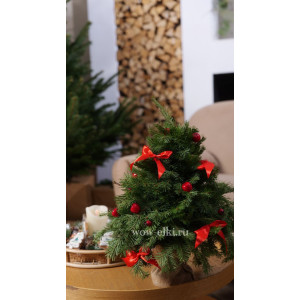 Мини-ёлка с декором из живой алтайской пихты