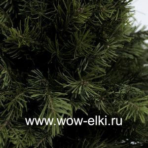 Ель канадская "Коника" 40 см - 60 см в подарочной упаковке