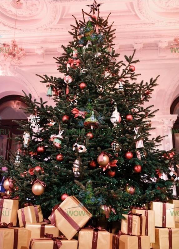 Наша продукция на страницах Tatler - 1