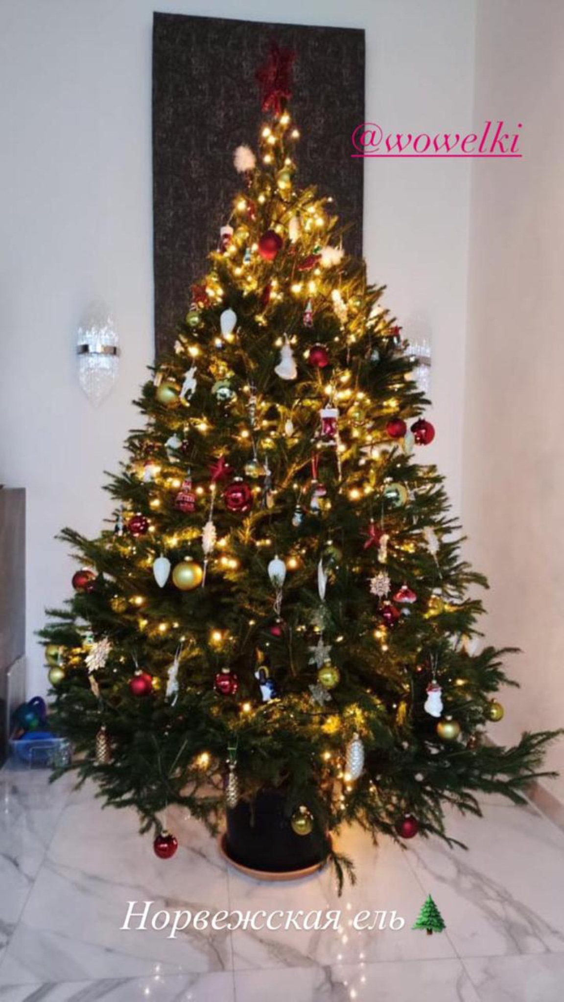 вау-елки  - 4